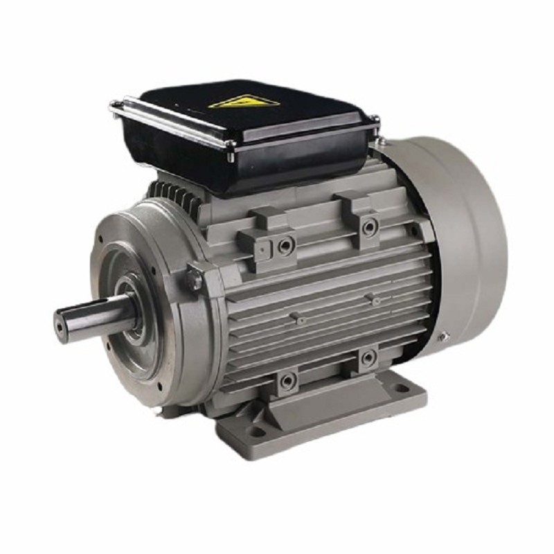 HIGH PRESSURE WASHER MOTOR